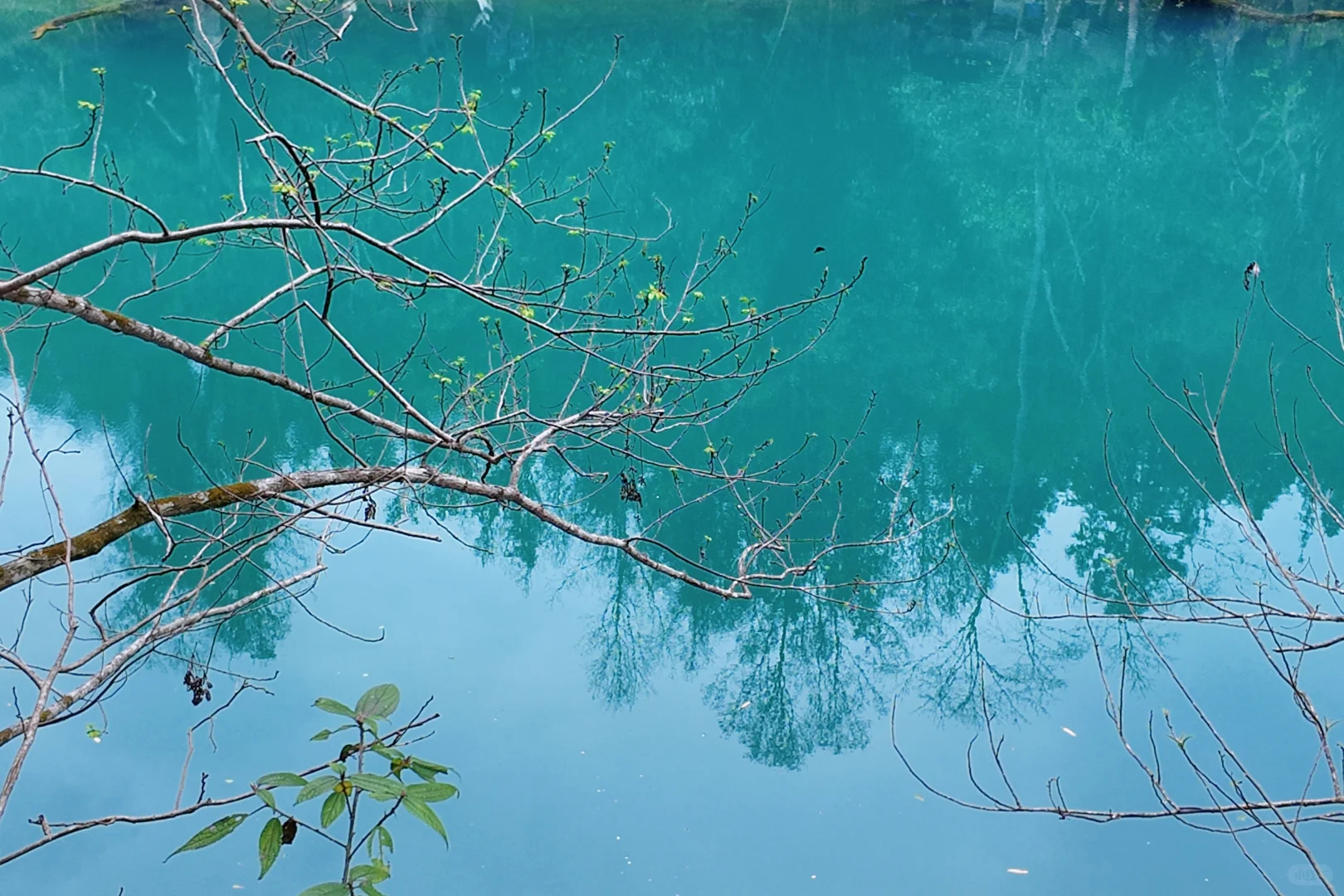 东进东出荔波小七孔🍃地球腰带上的绿宝石