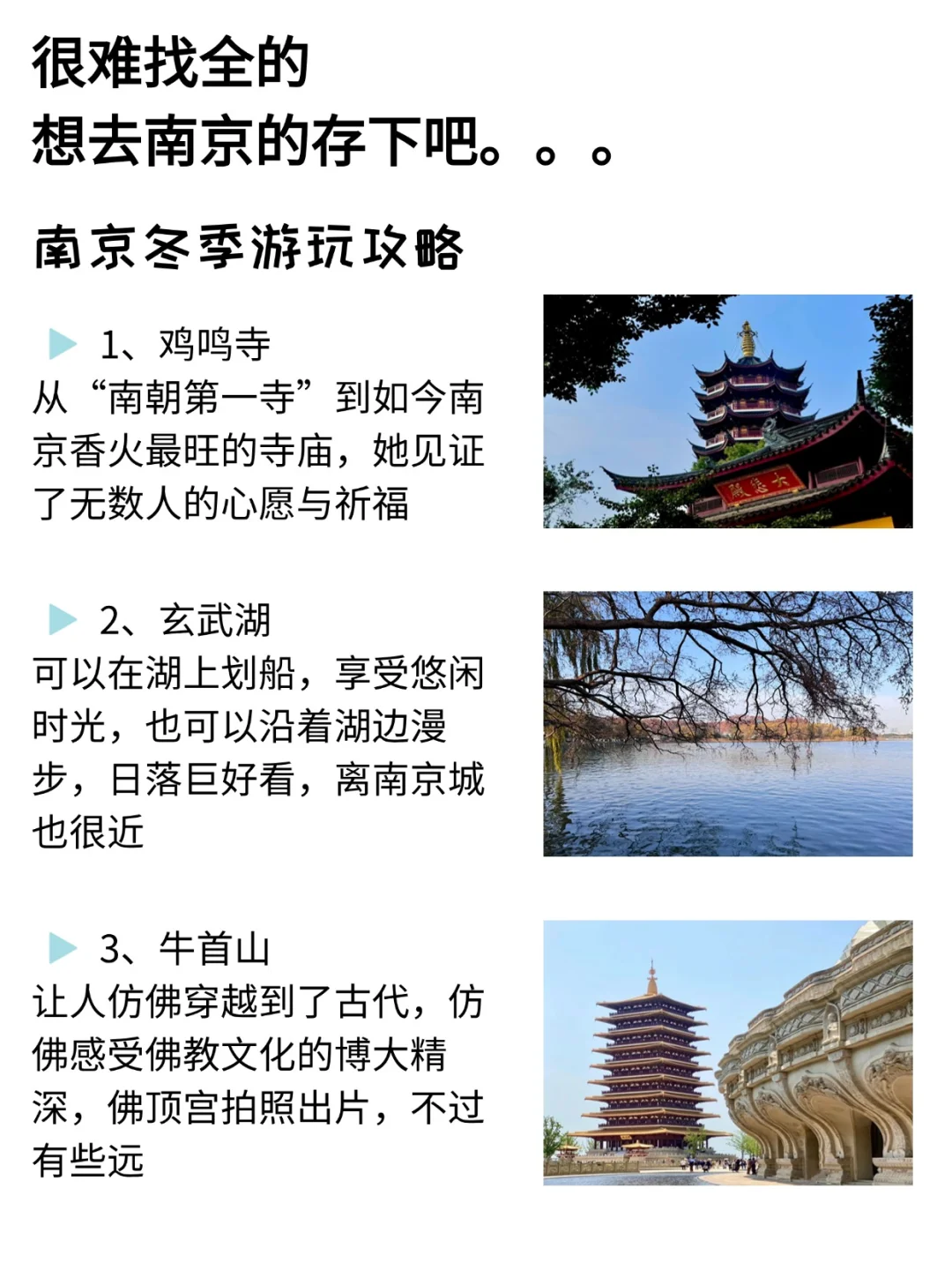 去了南京7次的我的建议是……
