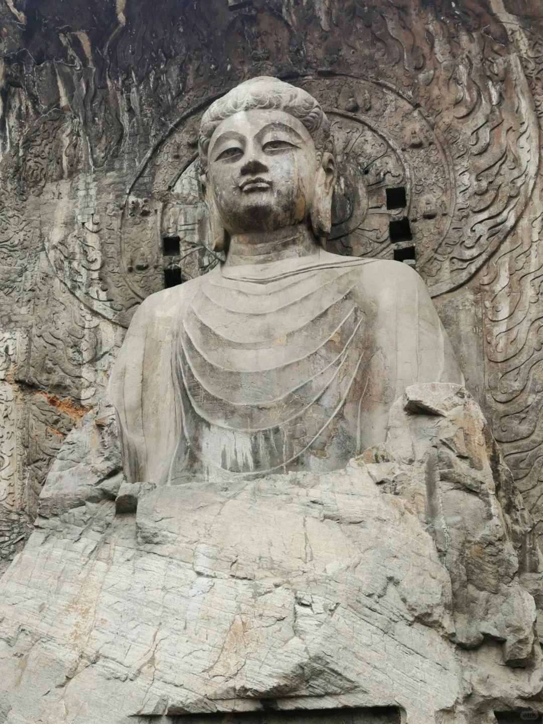 去洛阳前听点不一样的大实话吧……