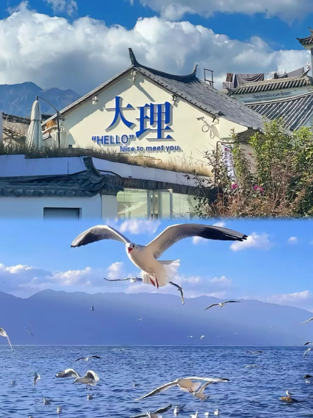 先出发再说✈️睡到自然醒的云南之旅太赞了🔥