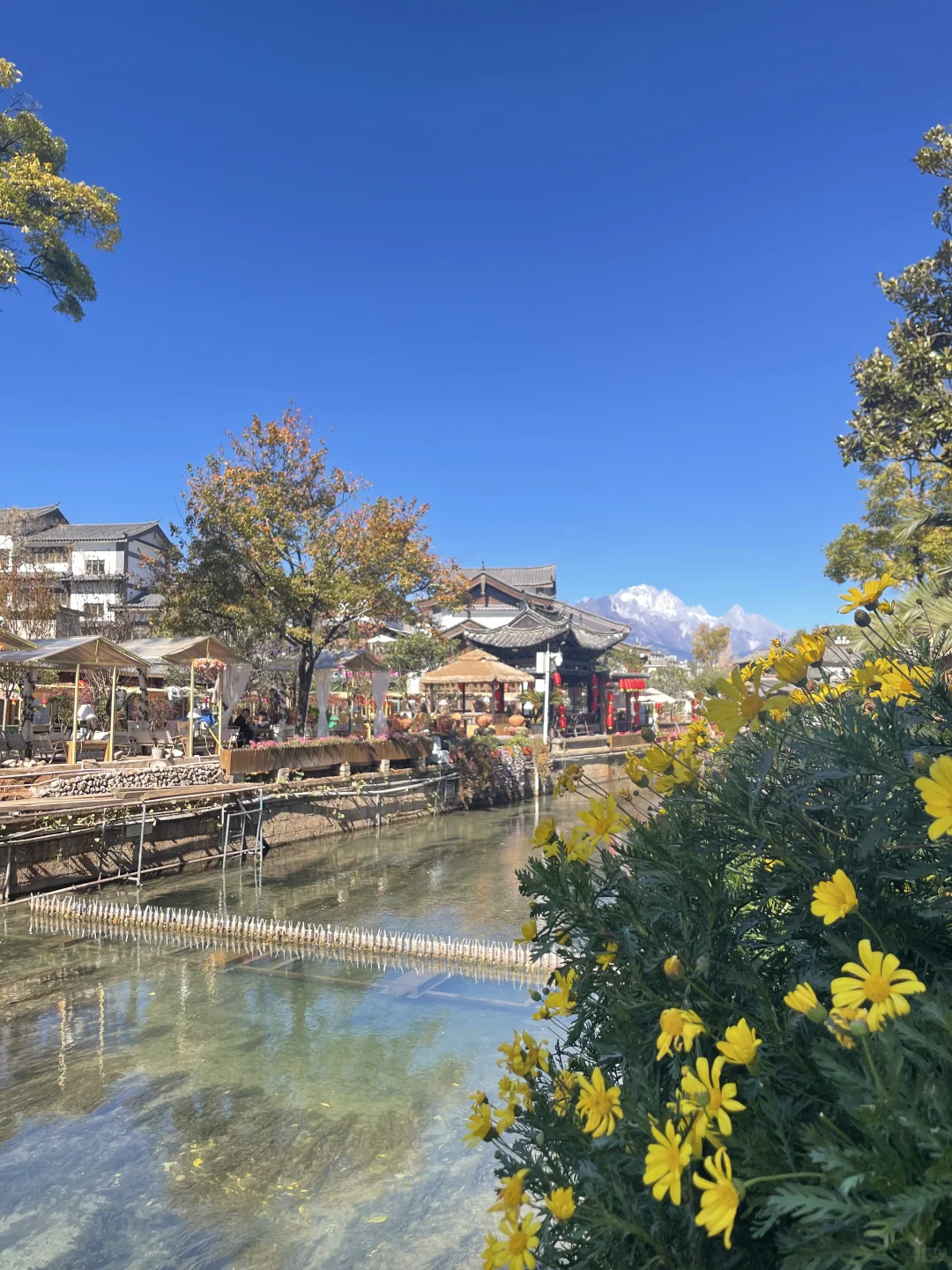 冬季就去云南感受丽江蓝吧