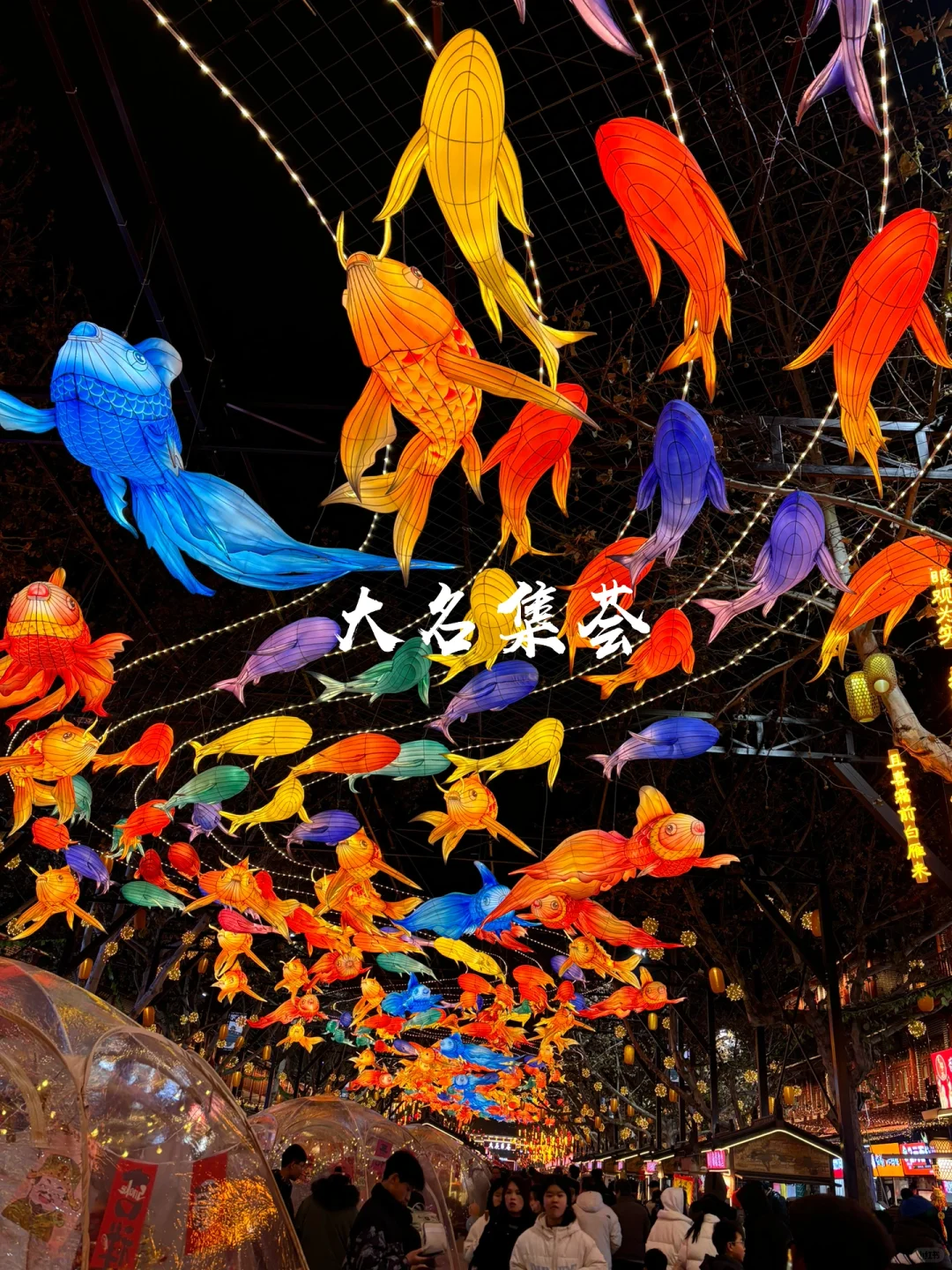 📍这不是西安 这里是邯郸大名 !!!🎆🏮