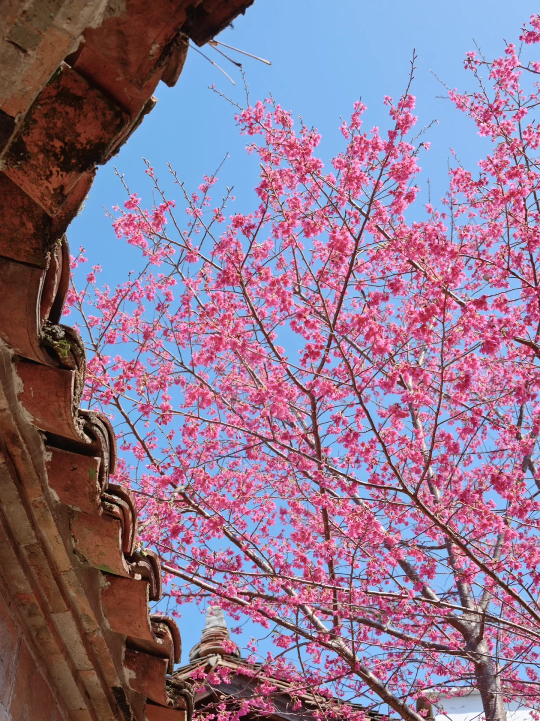 推荐一个真正冷门的千年古镇,还好没火