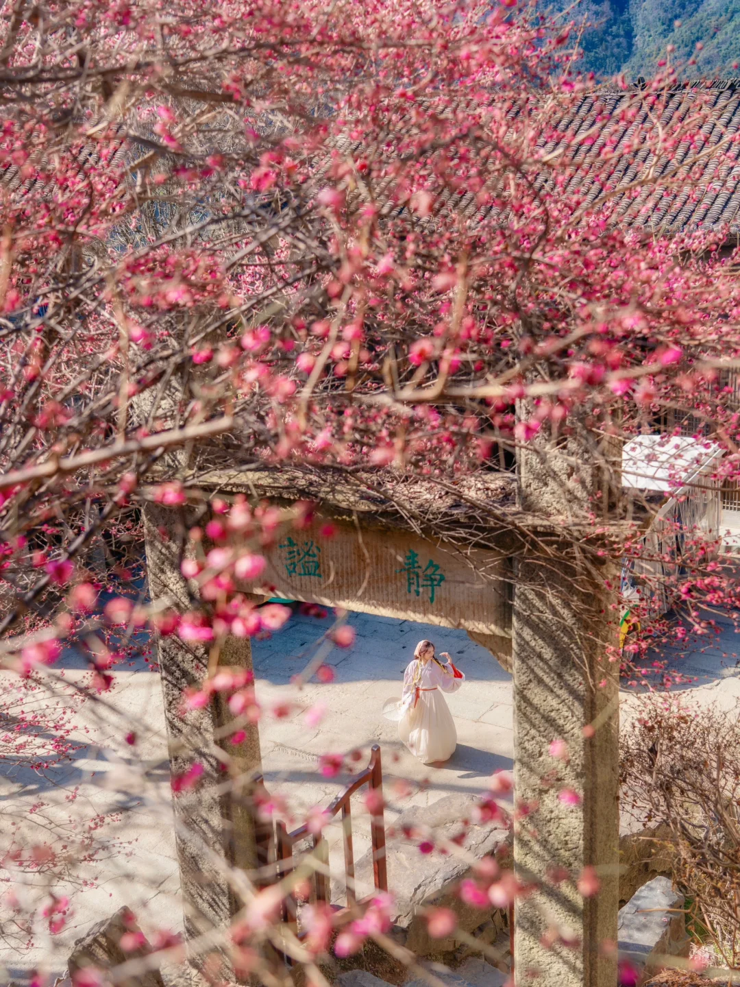 以为婺源已经够美了，直到去了这！2 月实拍