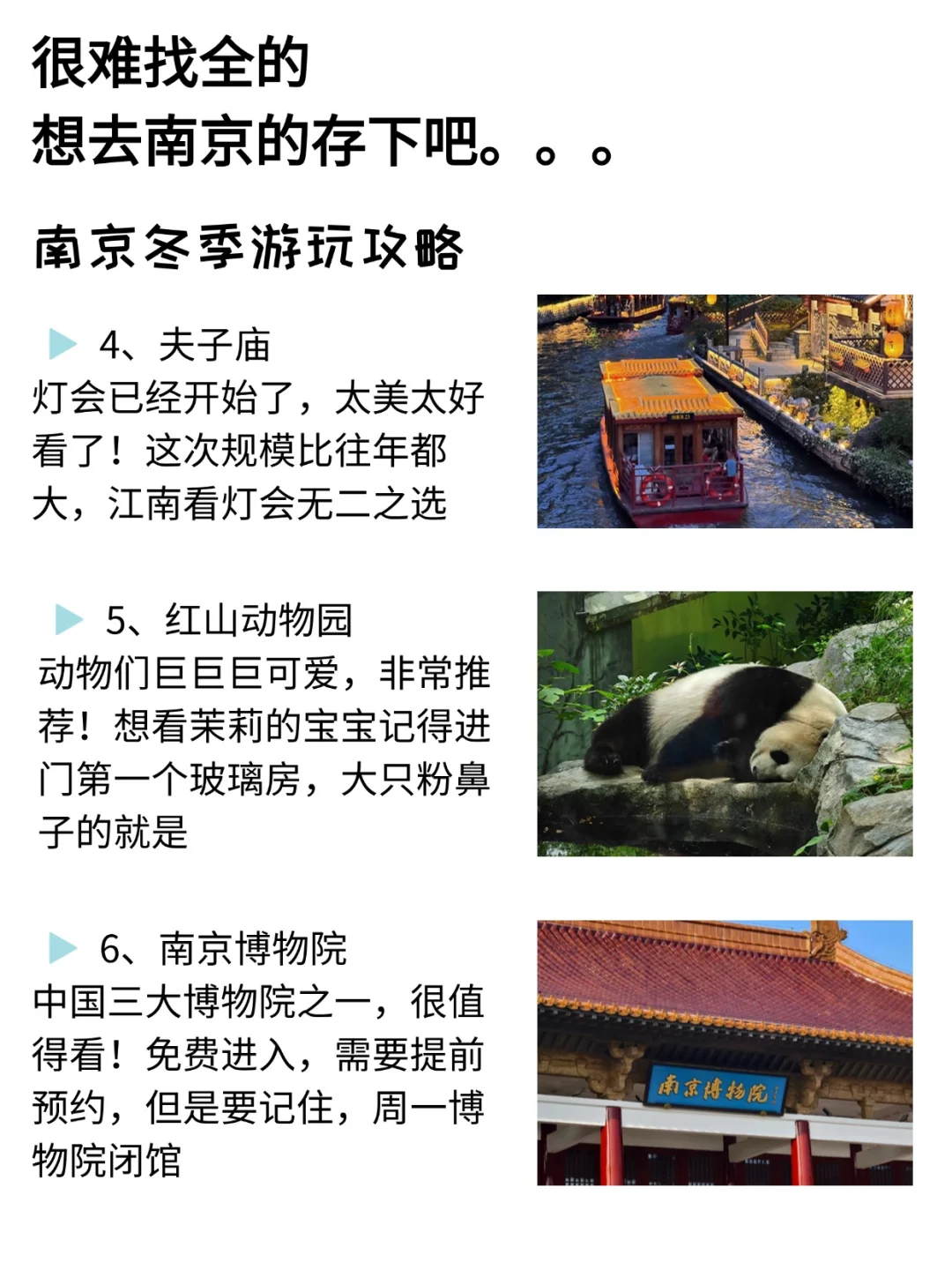 去了南京7次的我的建议是……