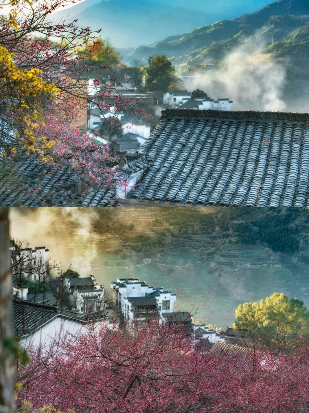 以为婺源已经够美了，直到去了这！2 月实拍