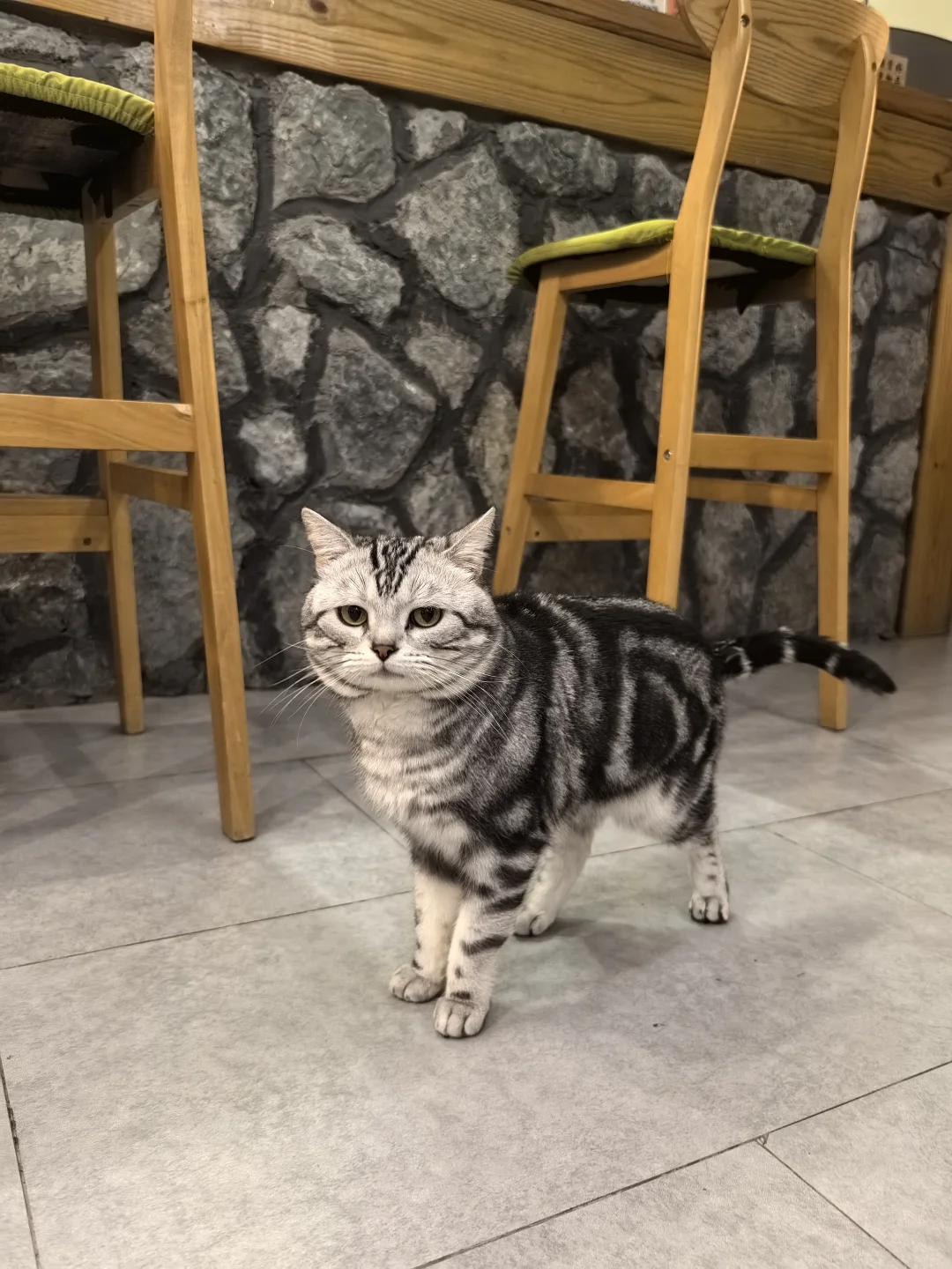 东进东出荔波小七孔🍃地球腰带上的绿宝石