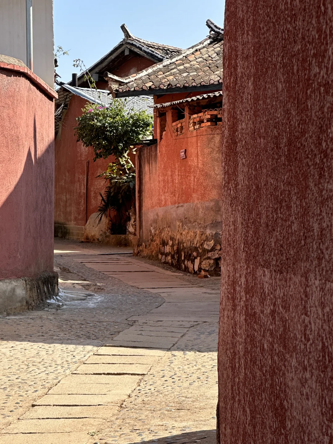 📍攀枝花22°c☀️的暖冬是成都人的最爱吧？