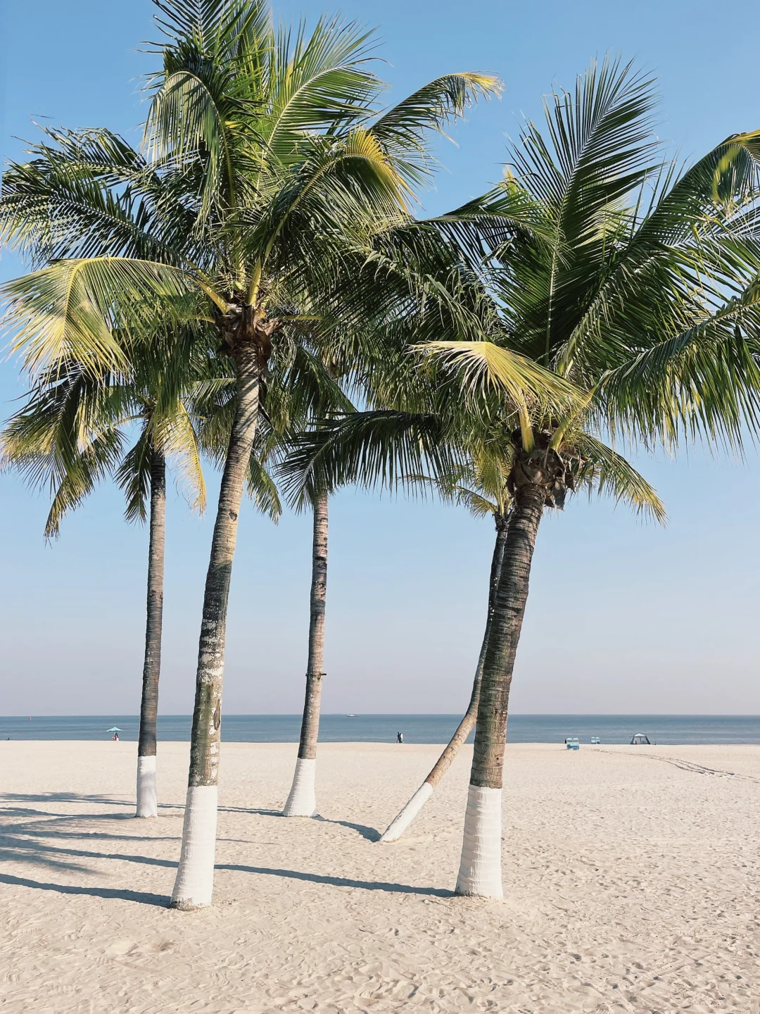 1-2月来珠海旅游的姐妹们，收好这份攻略了