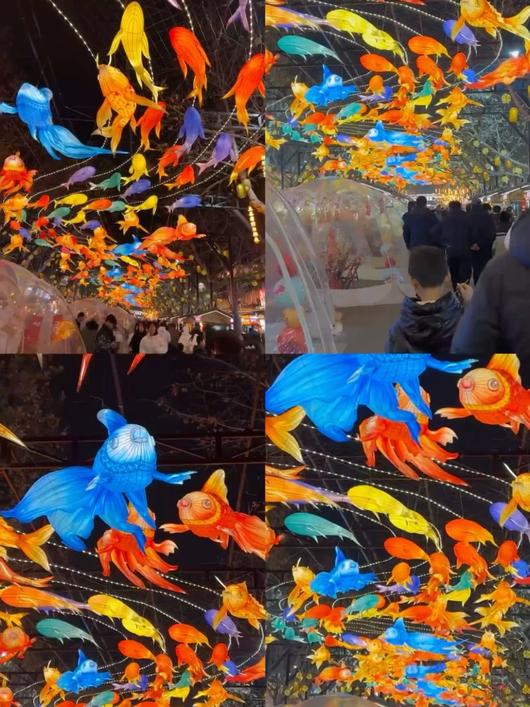 📍这不是西安 这里是邯郸大名 !!!🎆🏮