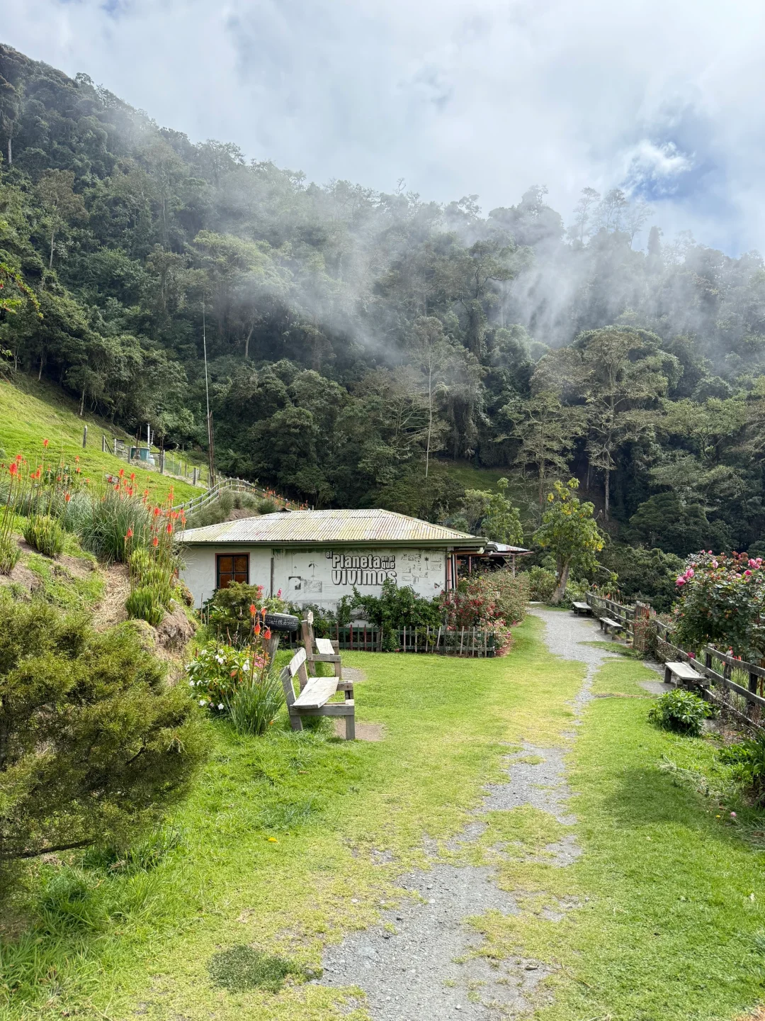 Valle de Cocora：南美的失落山谷