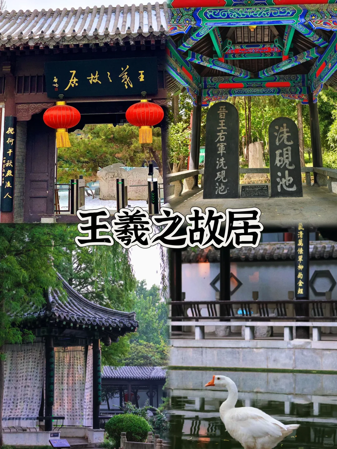 03女大📍临沂/一日游反向旅行路线攻略❗️
