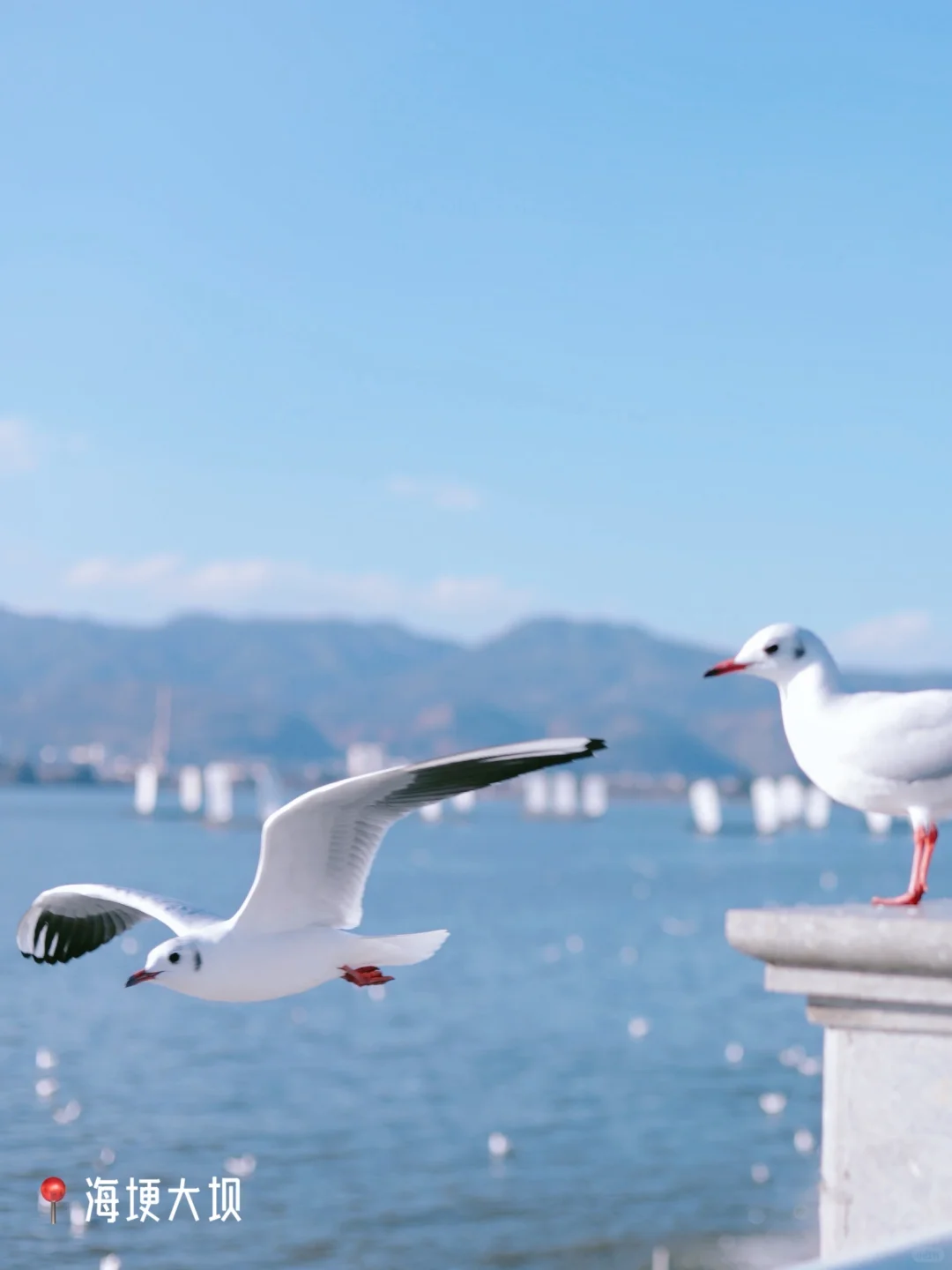 春节来云南｜打卡昆明11个免费景点（附攻略）