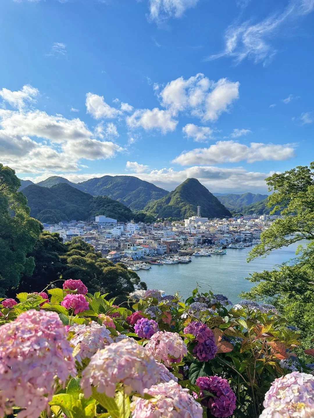⛩️日本伊豆🌸