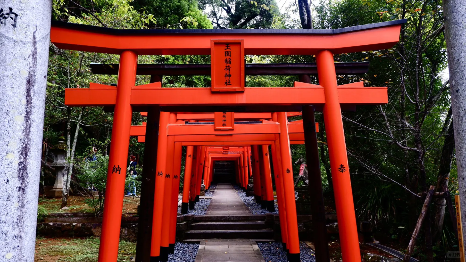 长崎真正好玩的景点｜无广