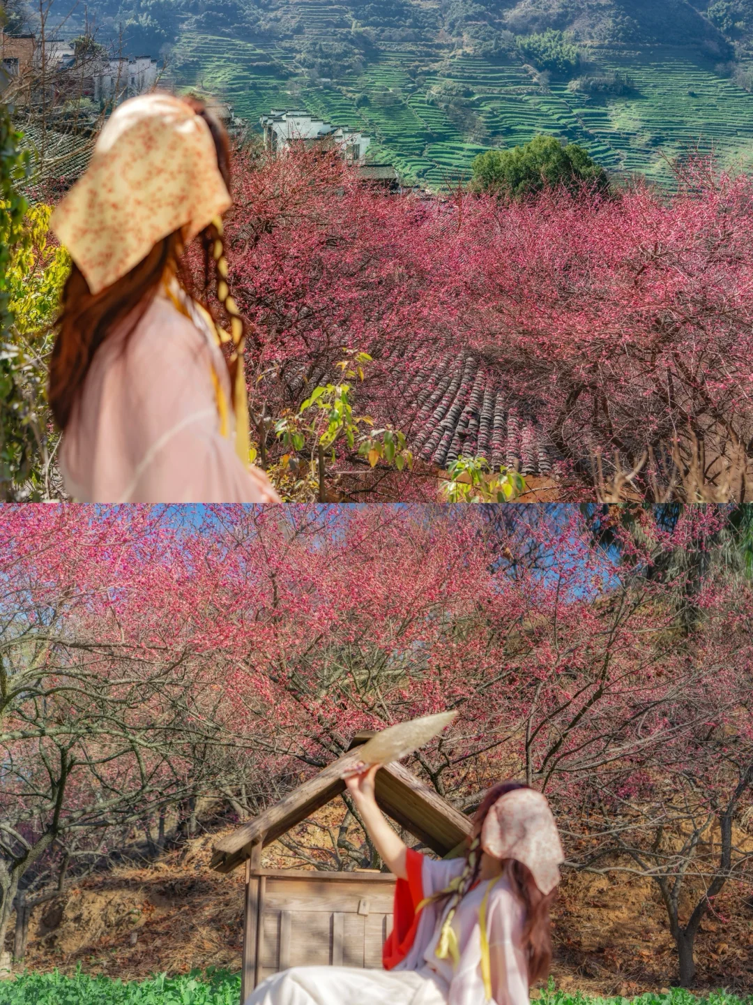 以为婺源已经够美了，直到去了这！2 月实拍