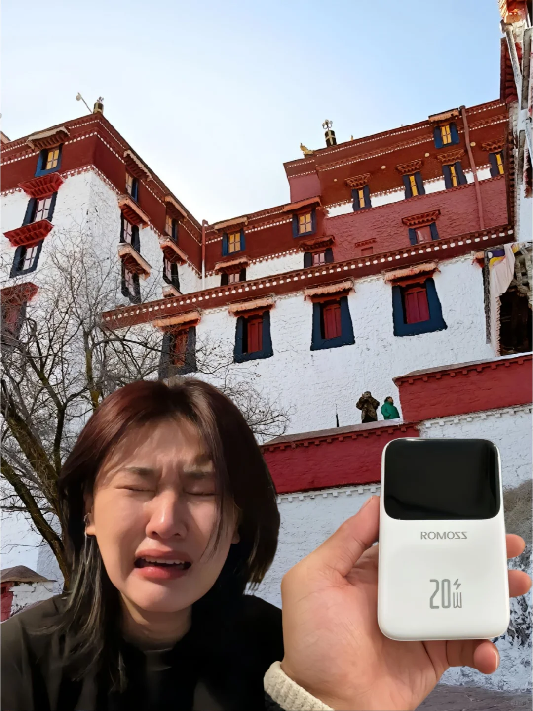 西藏会惩罚每一个乱带充电宝的人。