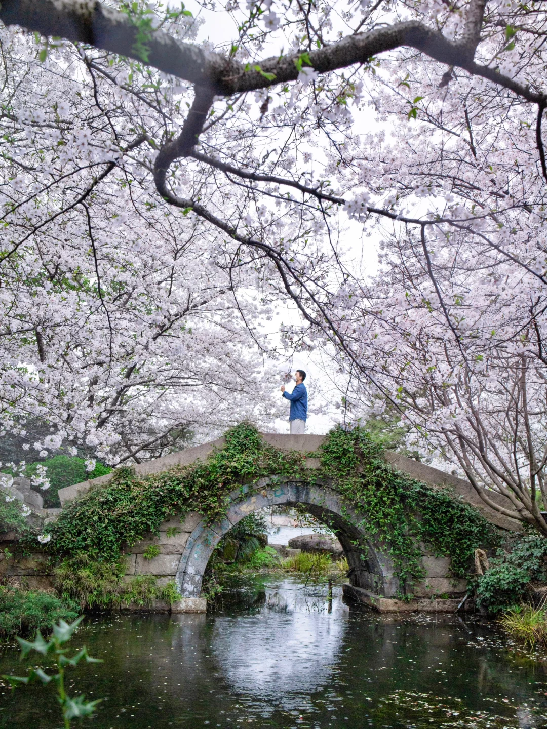 以为西湖已经够美了，直到我去了这里….