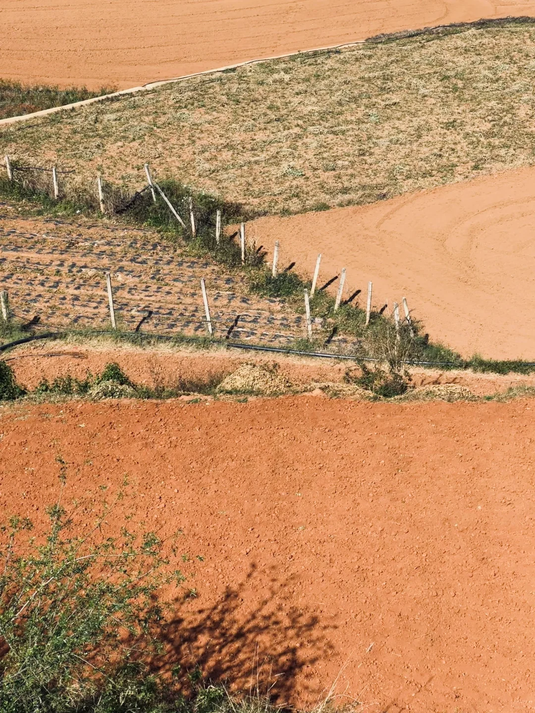 📍攀枝花22°c☀️的暖冬是成都人的最爱吧？