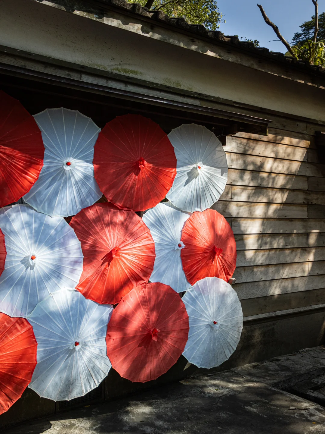 桃园神社⛩️ 不用再大老远跑到日本啦？！