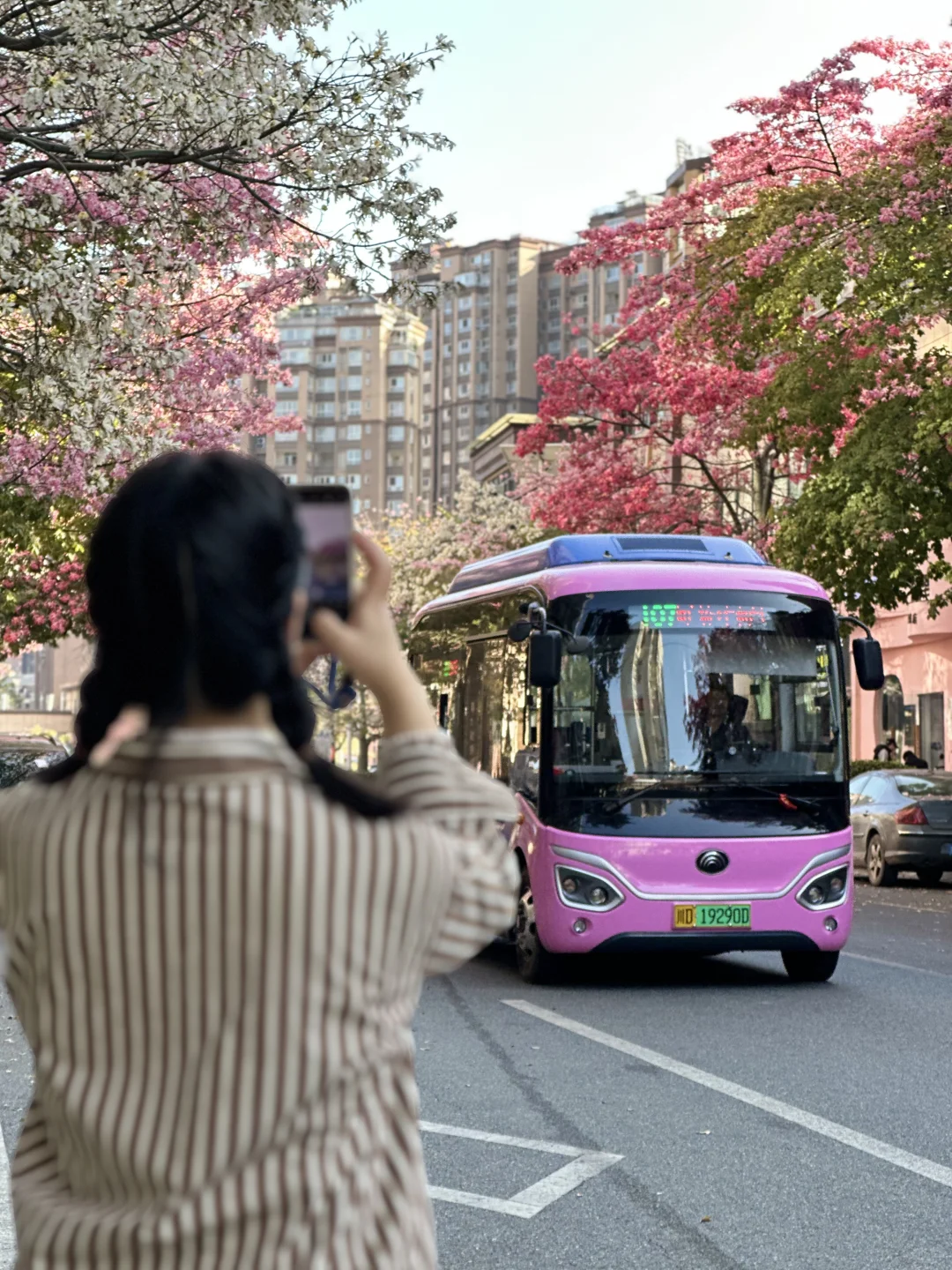 📍攀枝花22°c☀️的暖冬是成都人的最爱吧？