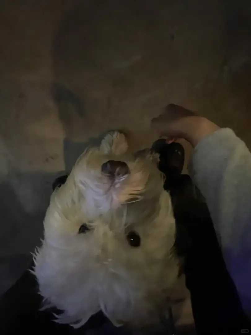 上班超快乐的旅游外企，年初招人啦！