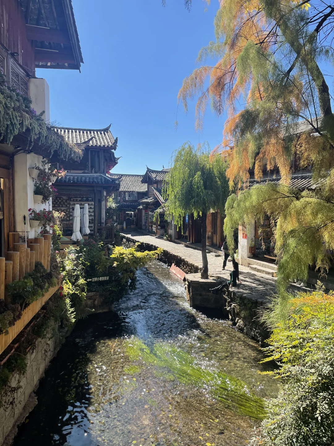 冬季就去云南感受丽江蓝吧