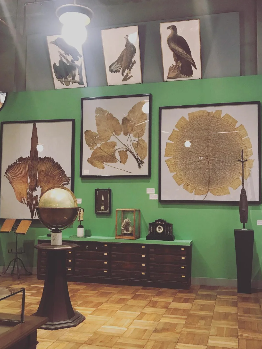 人生建议：东京这些免费景点必打卡，巨出片