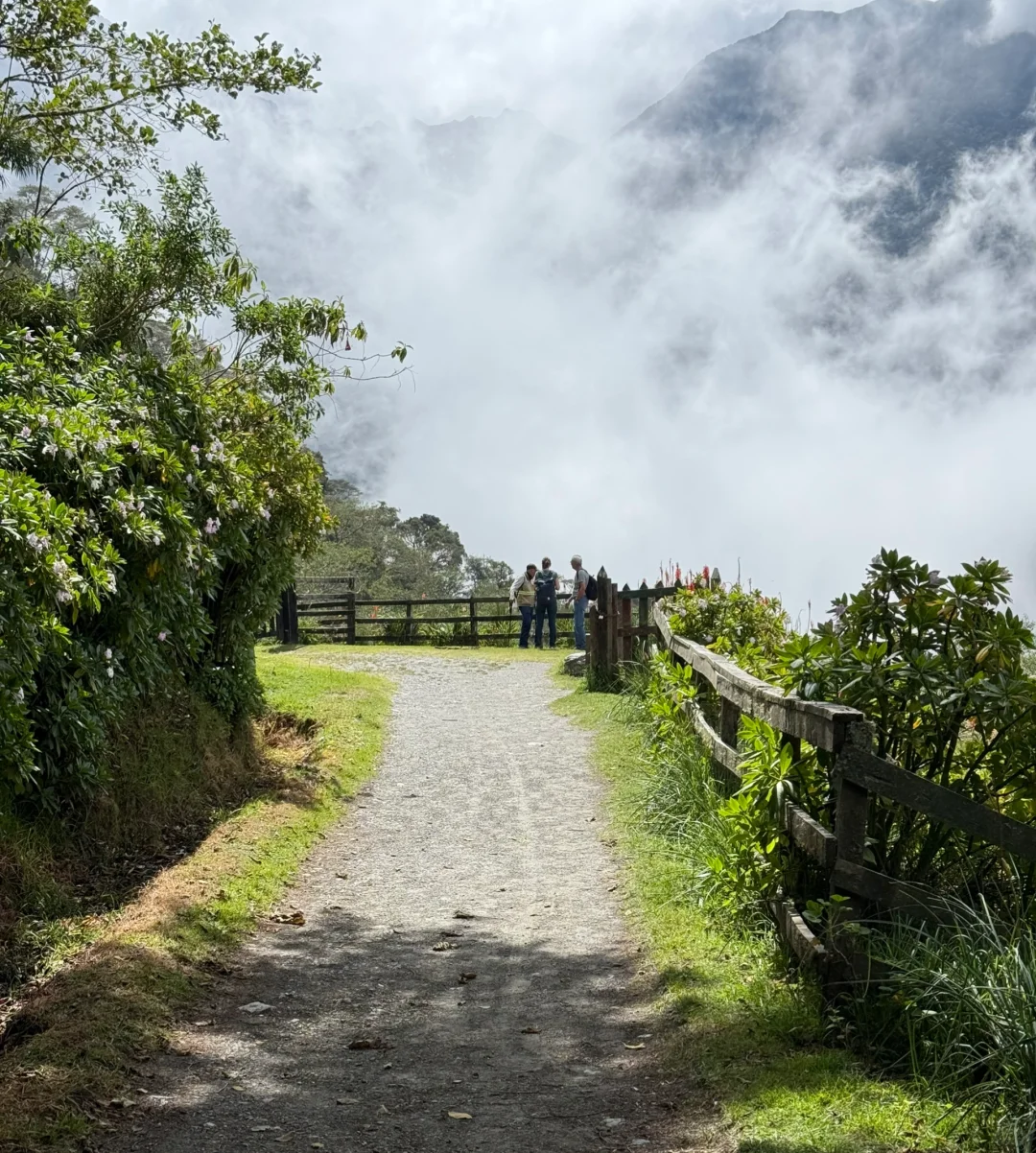 Valle de Cocora：南美的失落山谷