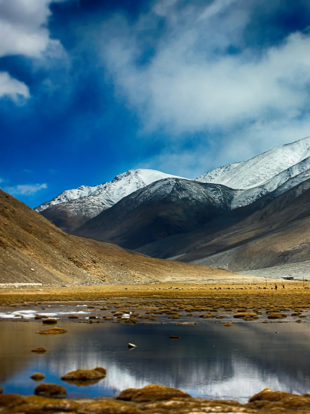 “只有内心空虚的人才总想着去旅行。”