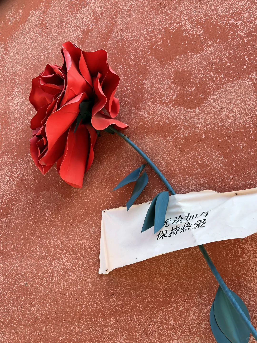 📍攀枝花22°c☀️的暖冬是成都人的最爱吧？