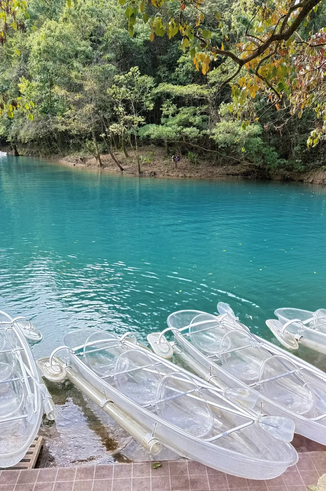 东进东出荔波小七孔🍃地球腰带上的绿宝石