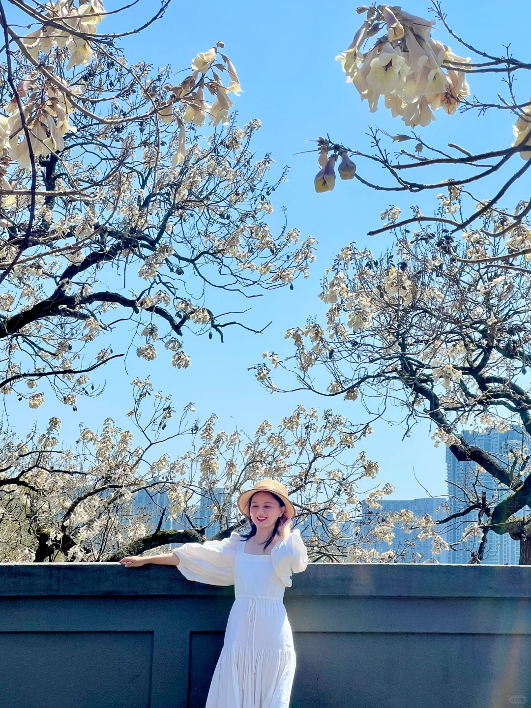 三月的杭州🌸这就是live图的意义吧