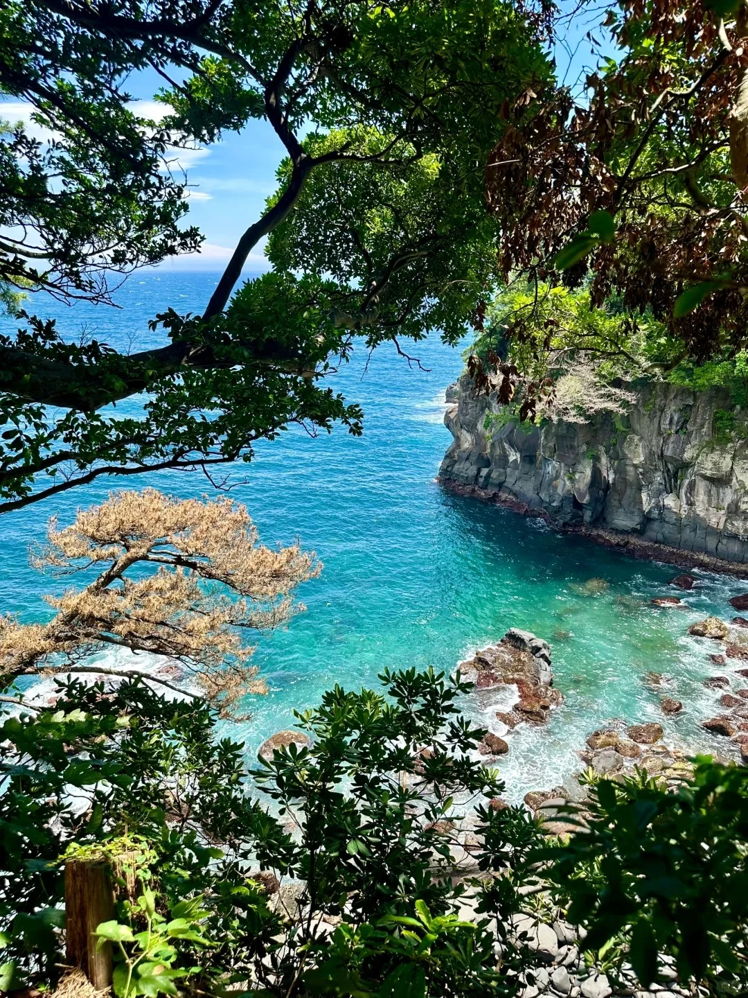 ⛩️日本伊豆🌸