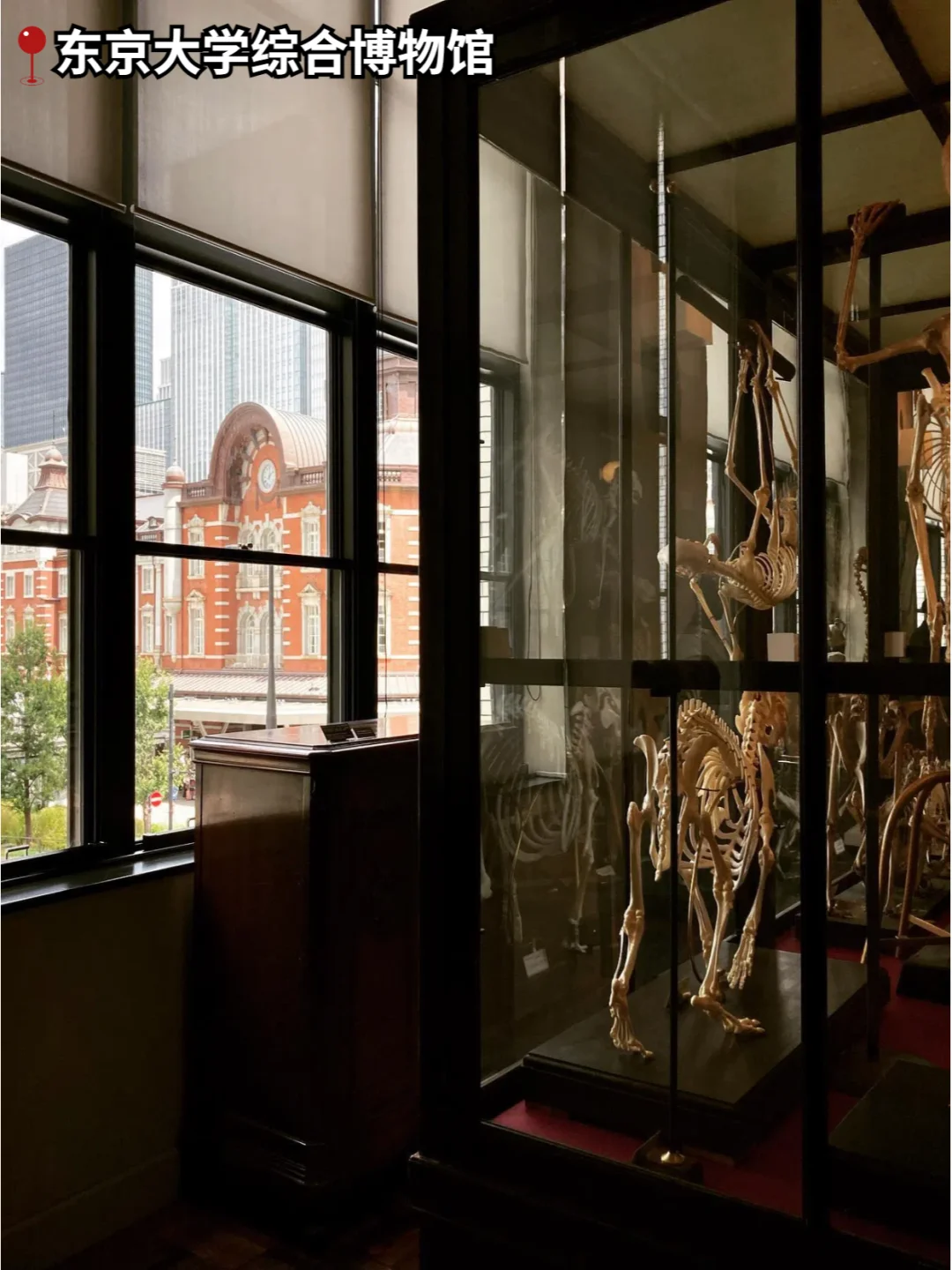 人生建议：东京这些免费景点必打卡，巨出片