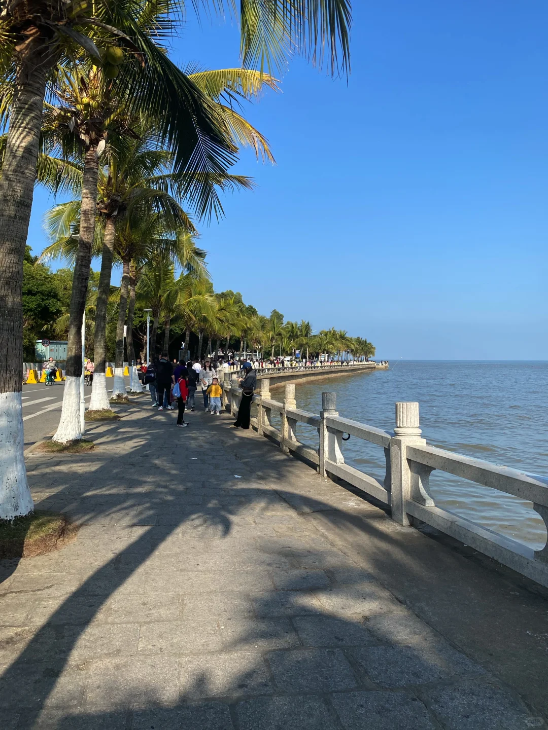 1-2月来珠海旅游的姐妹们，收好这份攻略了