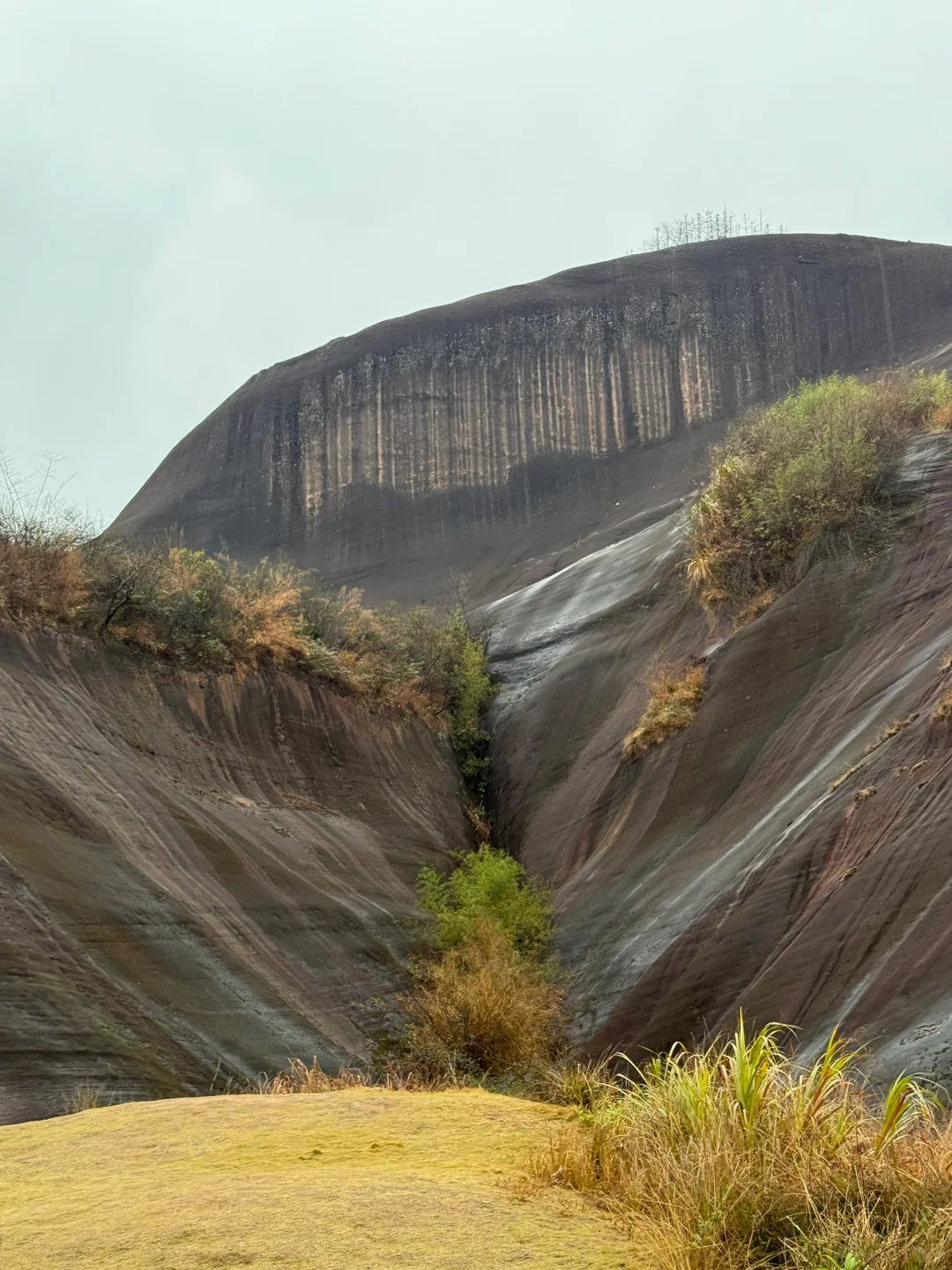 免费的景点，太好看了