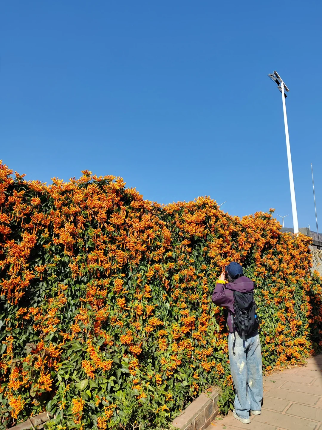 📍攀枝花22°c☀️的暖冬是成都人的最爱吧？