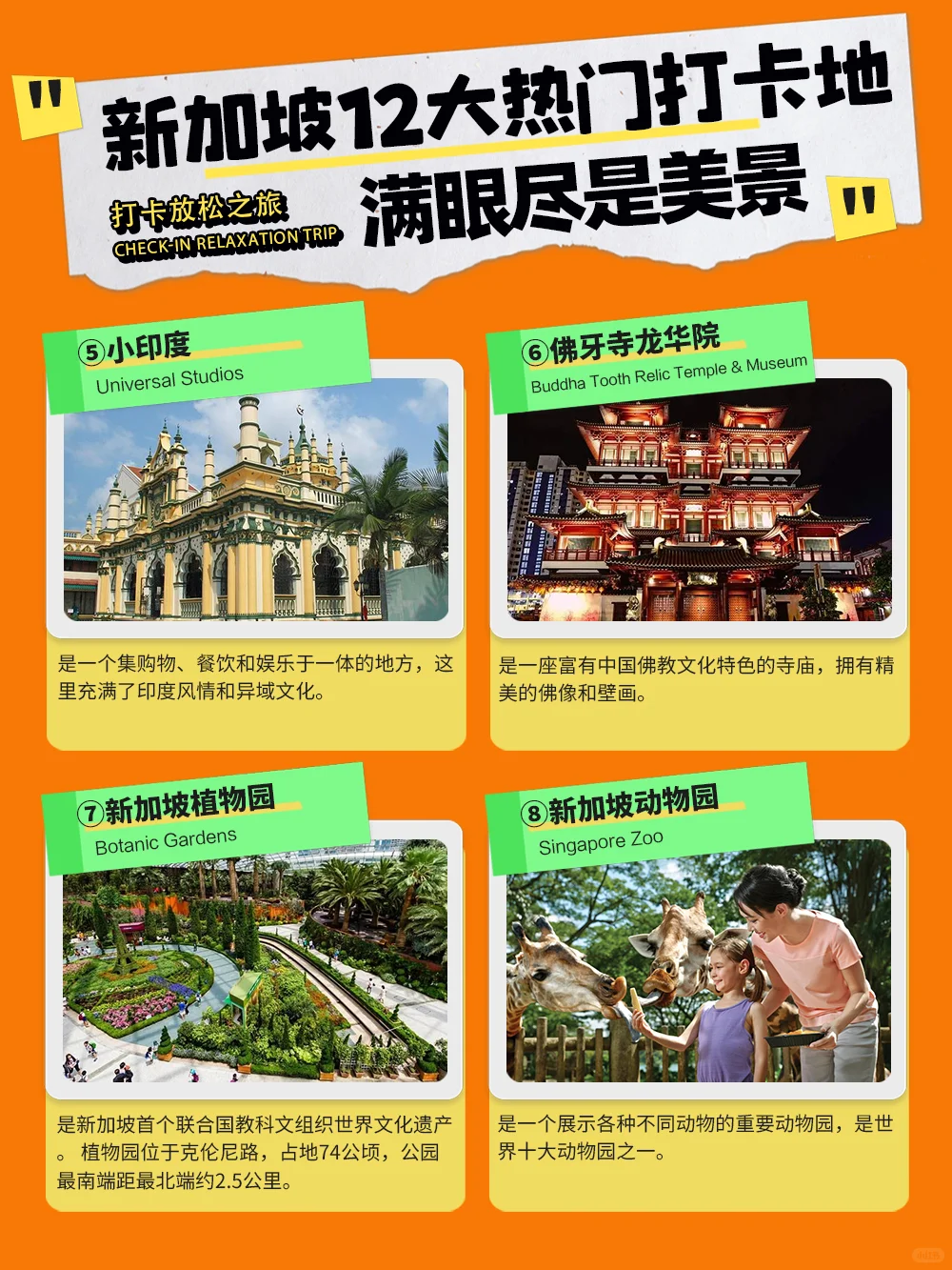 新加坡热门打卡地✨12 大景点全攻略