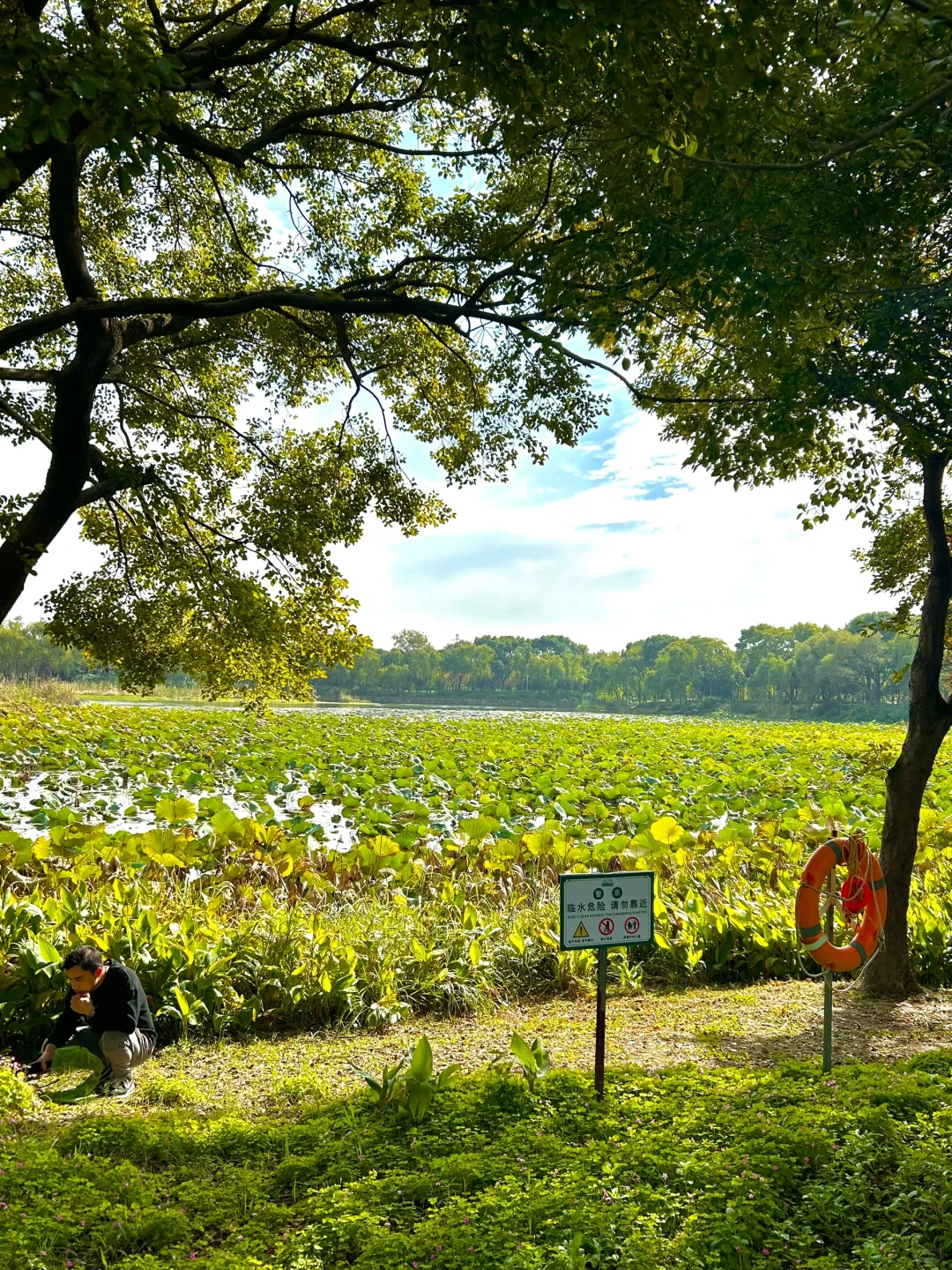 苏州十大必去免费景点！（附攻略）
