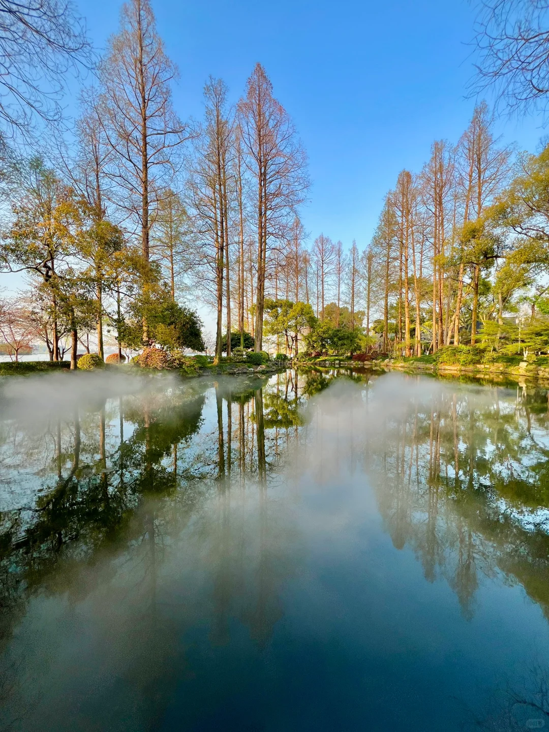 三月的杭州🌸这就是live图的意义吧