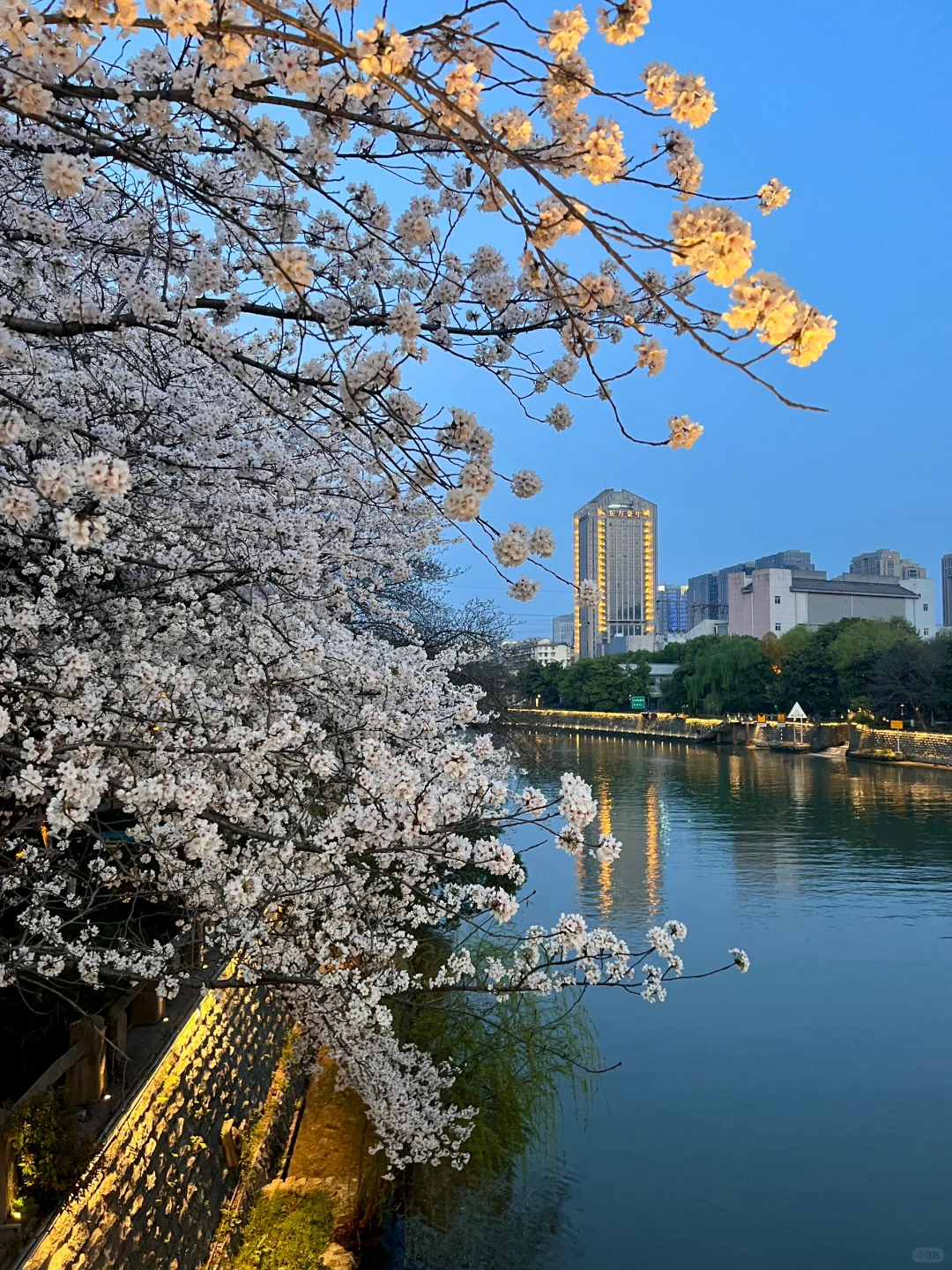 三月的杭州🌸这就是live图的意义吧