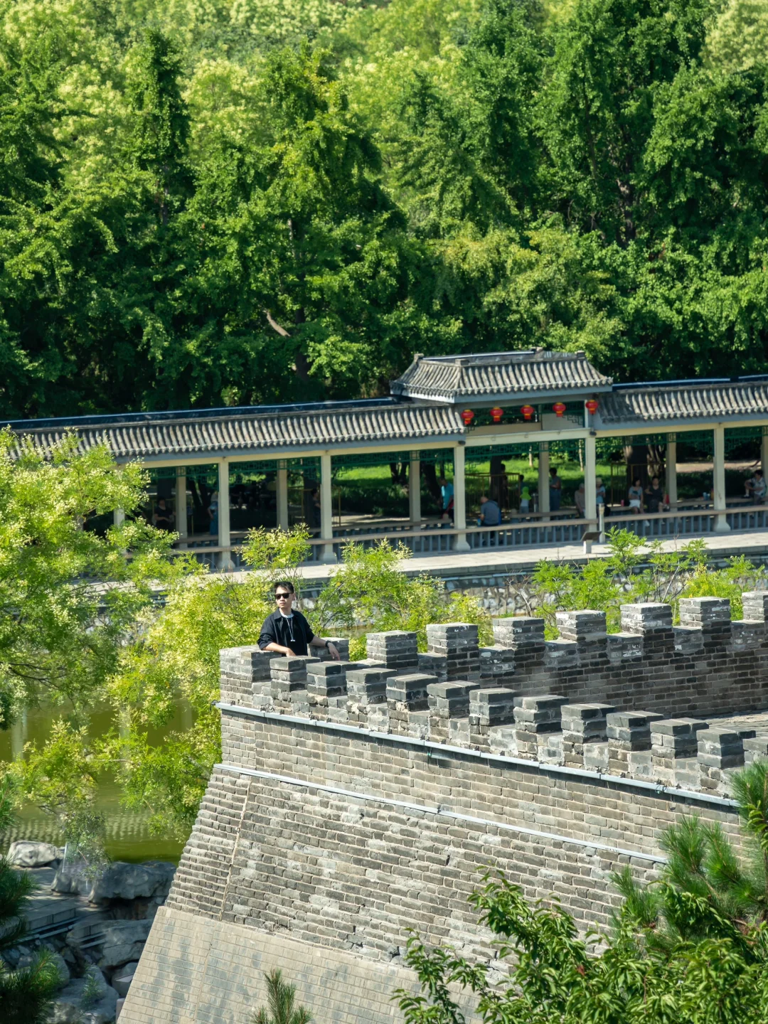 本地人疯狂安利，邯郸必去的景点·丛台公园❗️