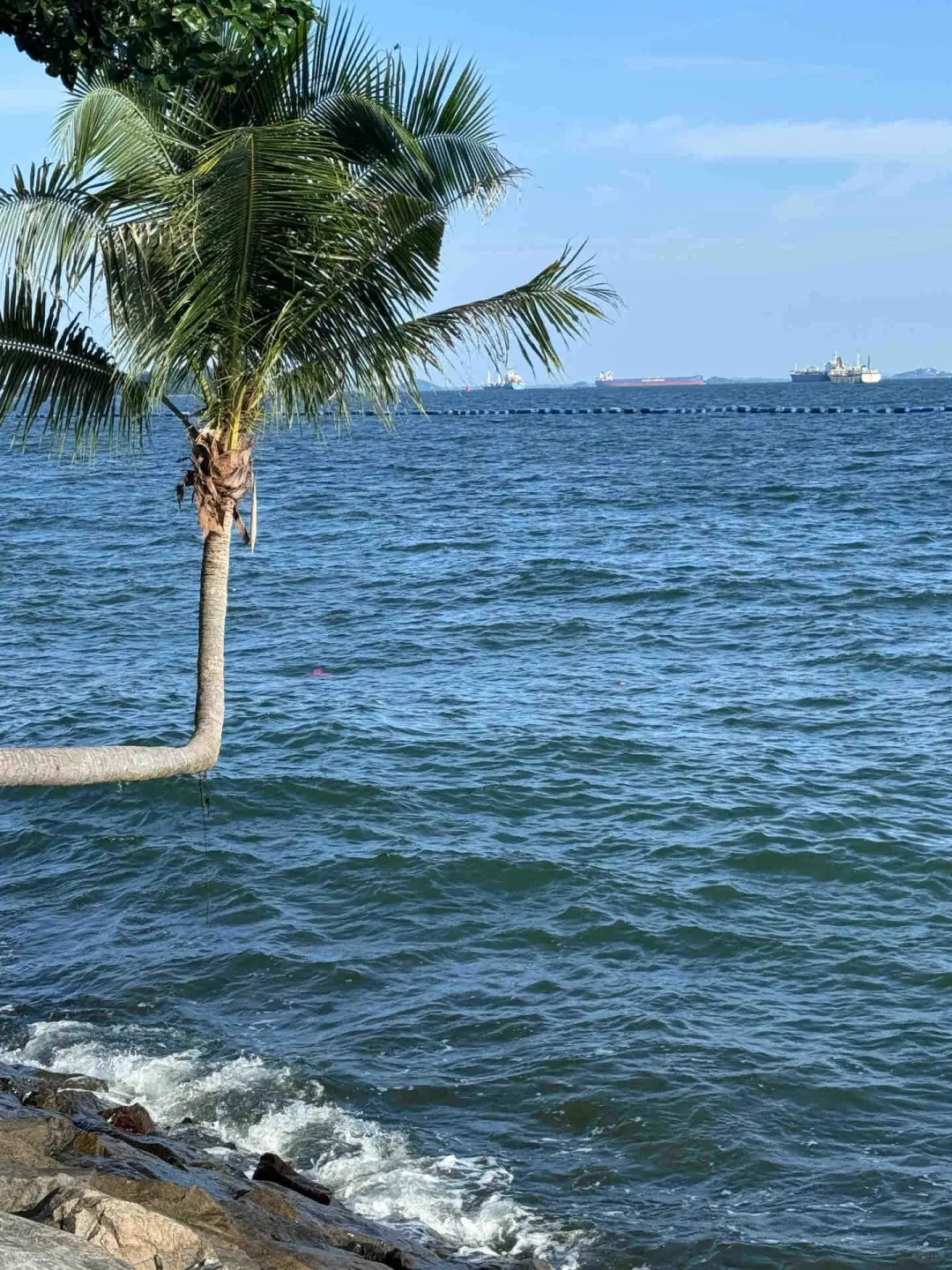 三亚已回！2~3月去三亚的需慎重考虑！！