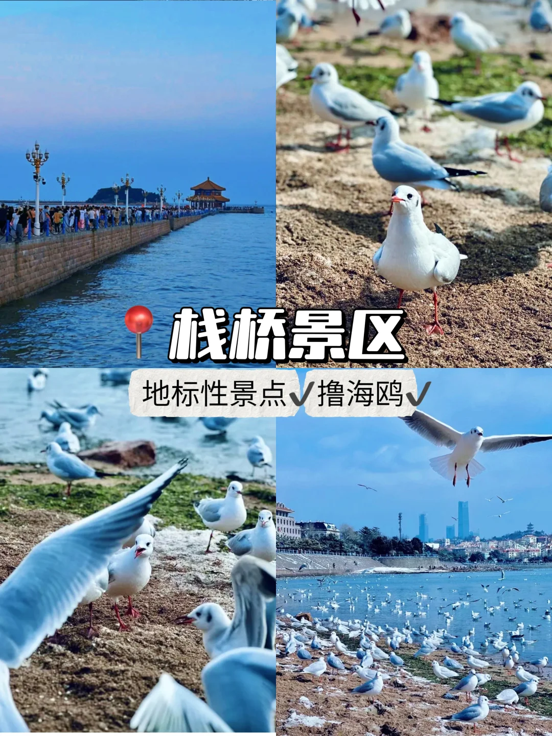 青岛📍2天1夜特种兵旅游攻略(附路线美食)