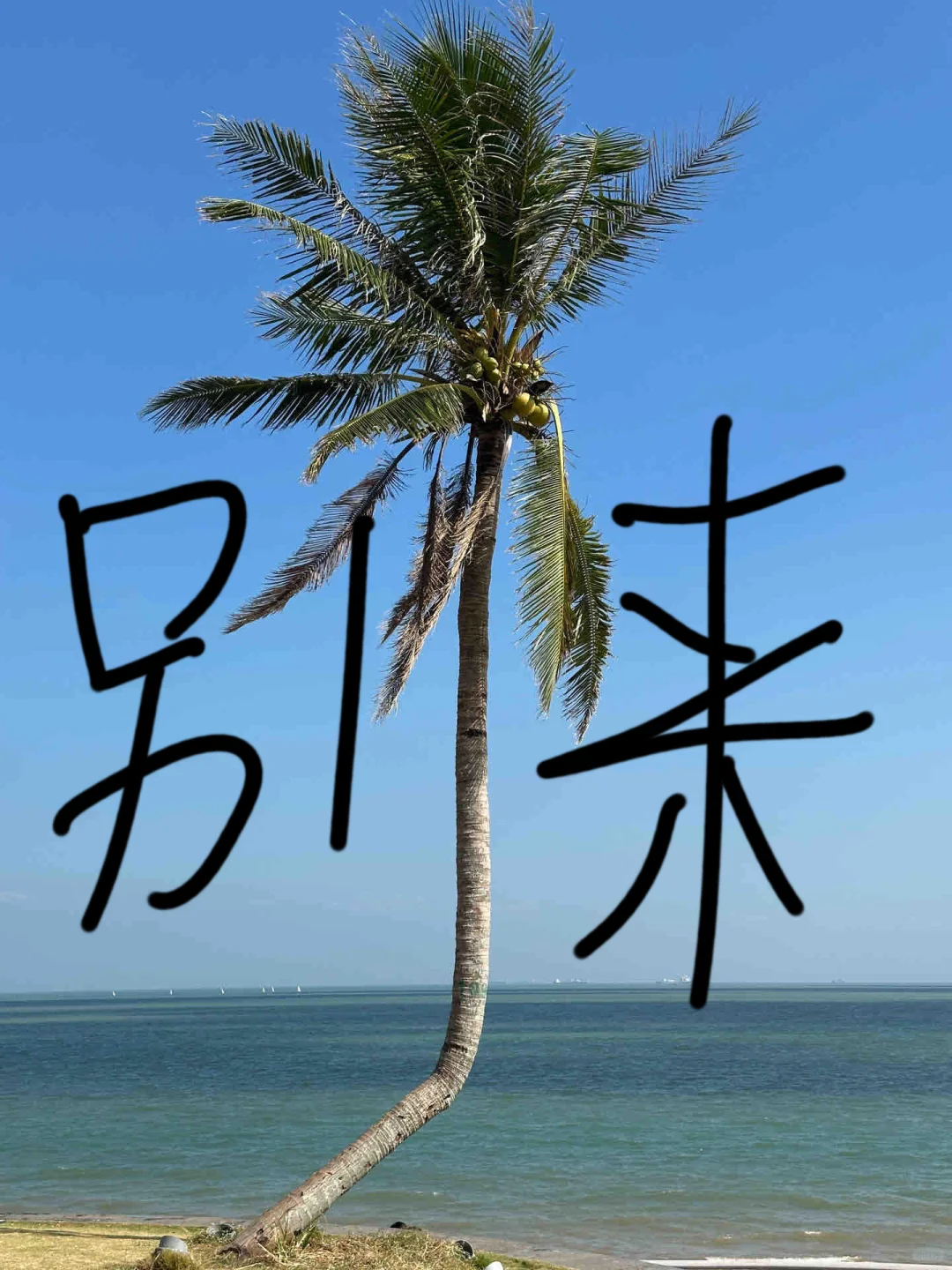 三亚已回！2~3月去三亚的需慎重考虑！！