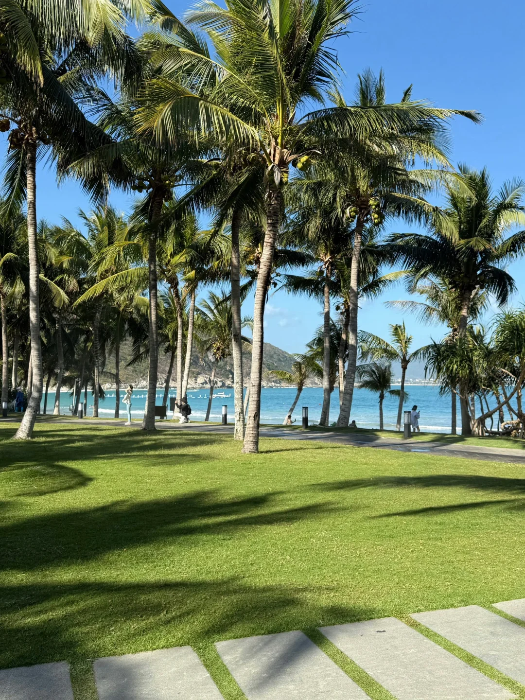 谁懂啊。。。被自己做的三亚攻略感动哭了😭