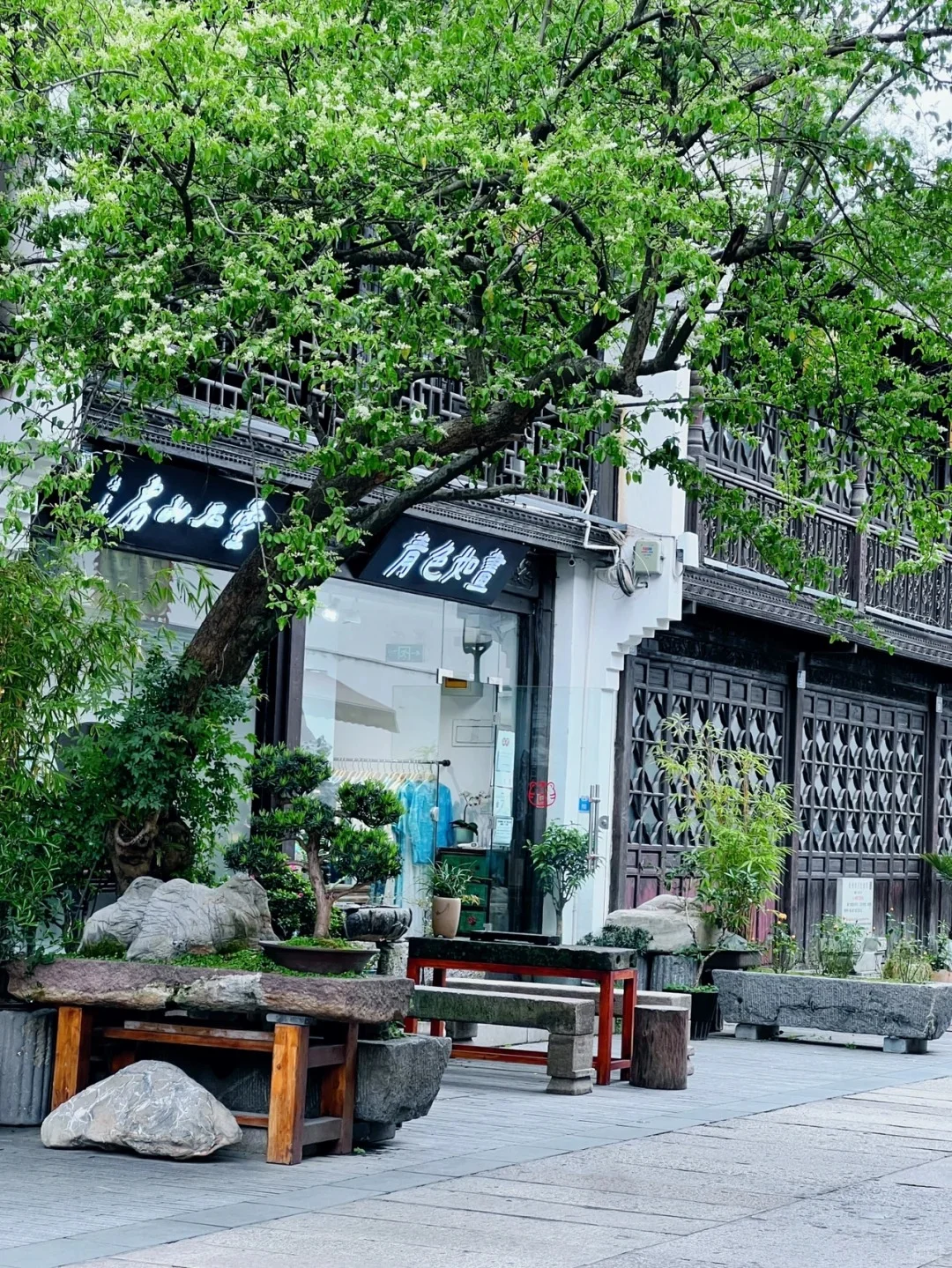 杭州3日游超全攻略（附CityWalk路线）