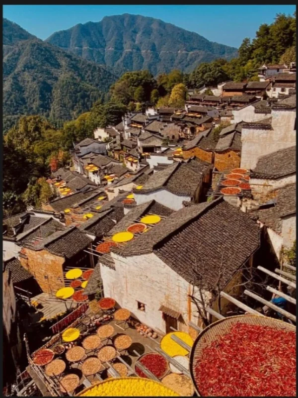 🌸江西婺源旅游攻略｜3天2夜玩转最美乡