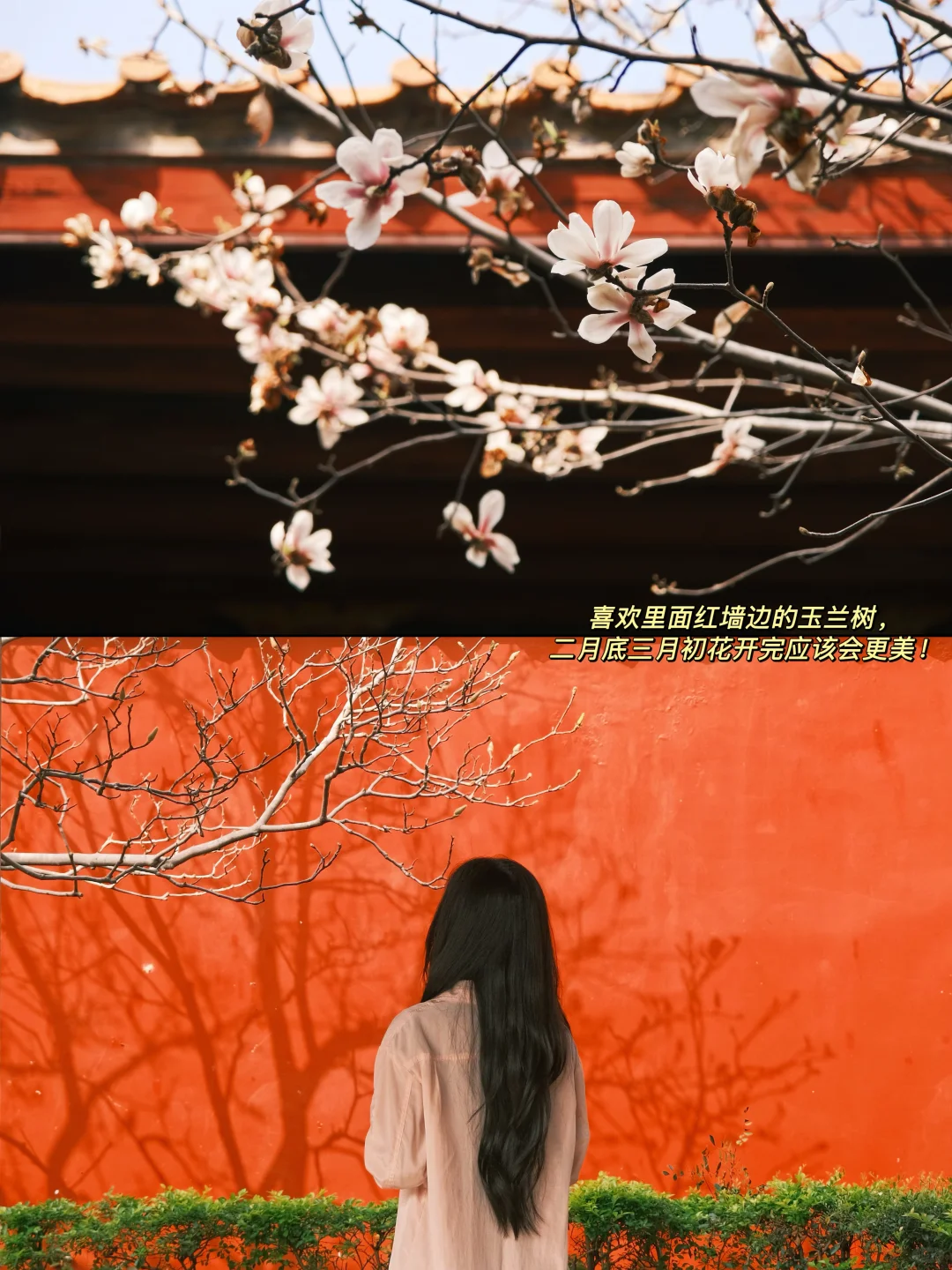 潮州两天一夜旅游攻略✅好吃又好拍📍附机位